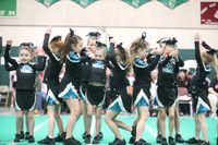 Western Mountain Wildcatz