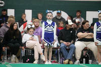 Acton Wildcats