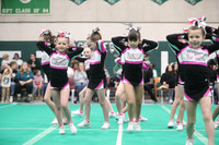 GNG Diamond Minis