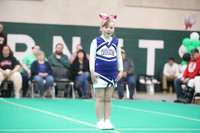 Acton Wildcats