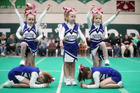 Acton Wildcats